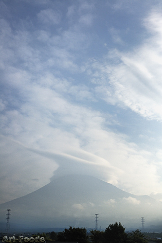 f:id:artfoods:20090823112712j:image