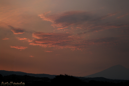 f:id:artfoods:20090823112948j:image:w360:right