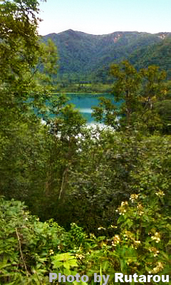 f:id:artfoods:20090901081405j:image:w120:left