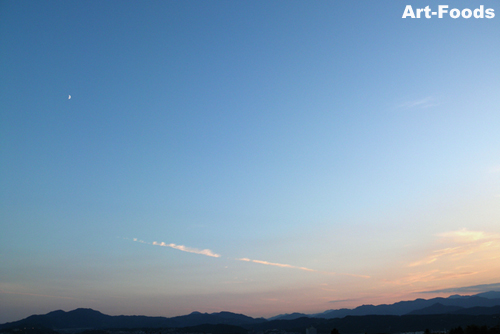 f:id:artfoods:20090902054451j:image:w360