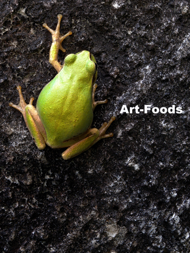 f:id:artfoods:20090902054540j:image:w330:right