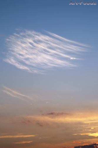 f:id:artfoods:20090903062629j:image