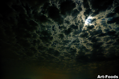 f:id:artfoods:20090907074416j:image