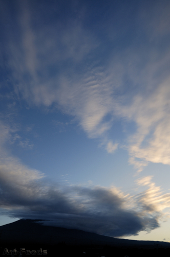 f:id:artfoods:20090908084643j:image