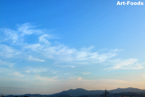 f:id:artfoods:20090910060915j:image f:id:artfoods:20090910060915j:image
