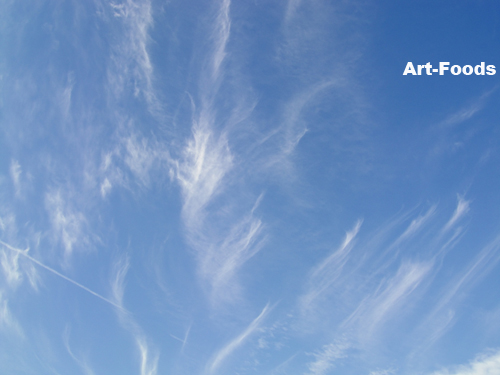 f:id:artfoods:20090918071525j:image f:id:artfoods:20090918071525j:image