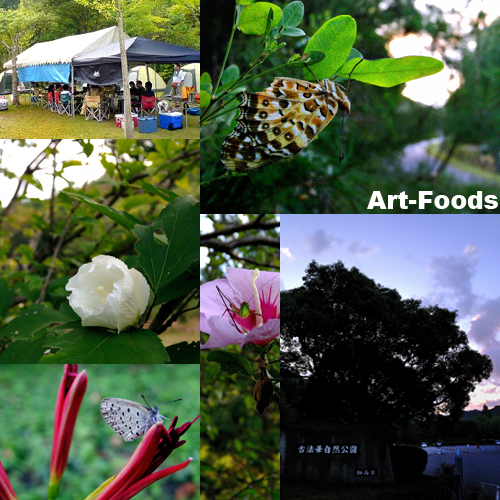 f:id:artfoods:20090926063633j:image