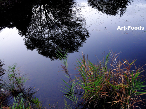 f:id:artfoods:20090926063635j:image