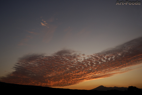 f:id:artfoods:20091002084633j:image