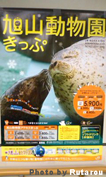 f:id:artfoods:20091006034435j:image:right