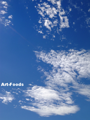 f:id:artfoods:20091008052434j:image