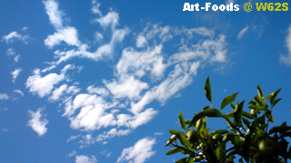 f:id:artfoods:20091008135432j:image