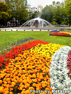 f:id:artfoods:20091009213955j:image:w200:left f:id:artfoods:20091009213955j:image:w200:left