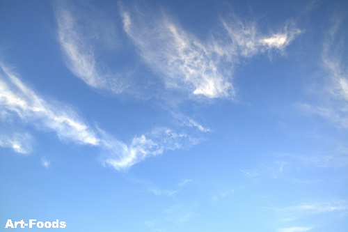 f:id:artfoods:20091024091238j:image