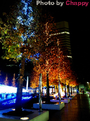 f:id:artfoods:20091201043630j:image:left f:id:artfoods:20091201043630j:image:left