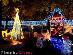 f:id:artfoods:20091201043631j:image:right f:id:artfoods:20091201043631j:image:right