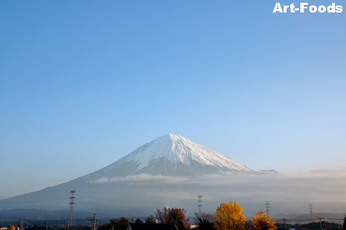 f:id:artfoods:20091201085914j:image