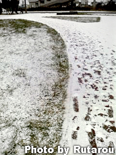 f:id:artfoods:20091203210045j:image:w150:right f:id:artfoods:20091203210045j:image:w150:right