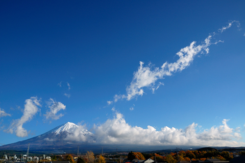 f:id:artfoods:20091205053911j:image