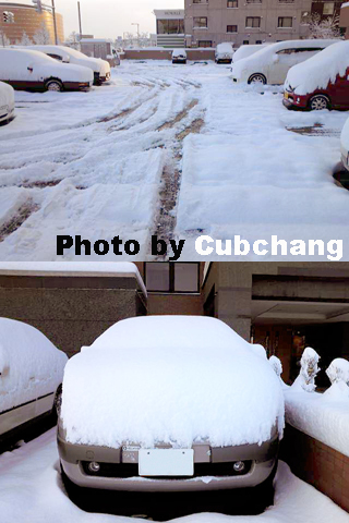 f:id:artfoods:20091221170507j:image:w200:right