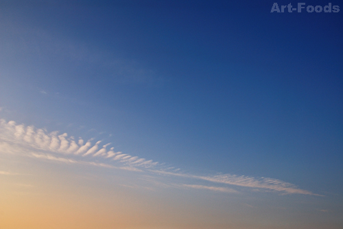 f:id:artfoods:20091229063318j:image