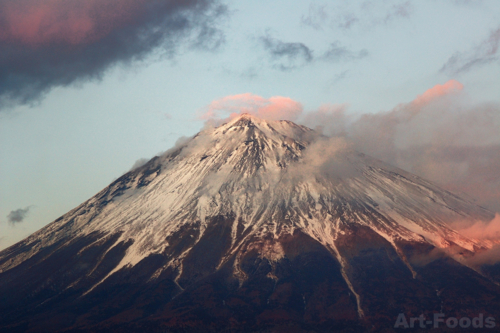 f:id:artfoods:20100109060921j:image