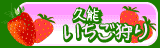 f:id:artfoods:20100228104554g:image:left