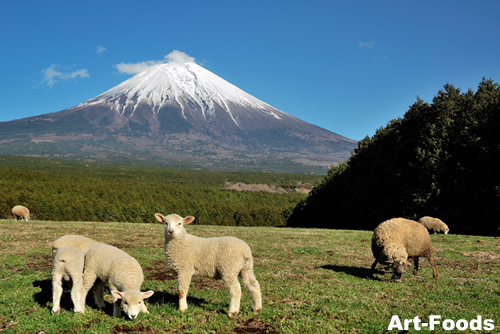 f:id:artfoods:20100321181427j:image
