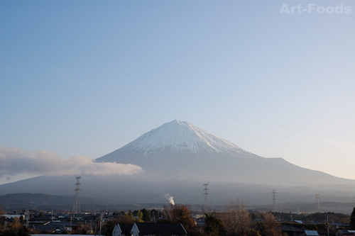 f:id:artfoods:20100322071942j:image