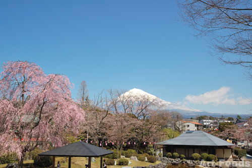 f:id:artfoods:20100331064313j:image