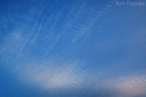 f:id:artfoods:20100401053141j:image f:id:artfoods:20100401053141j:image