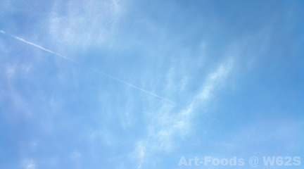 f:id:artfoods:20100421155032j:image:w360