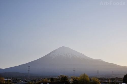 f:id:artfoods:20100501073047j:image