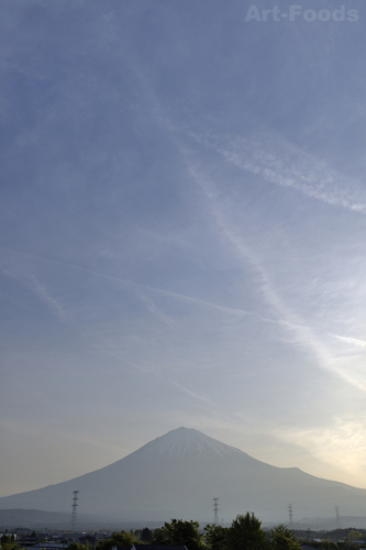f:id:artfoods:20100510062651j:image