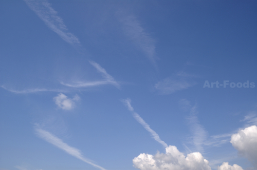 f:id:artfoods:20100515134543j:image