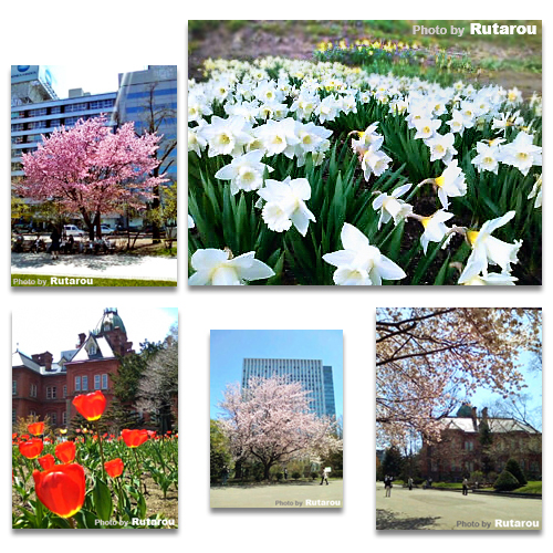 f:id:artfoods:20100516064829j:image
