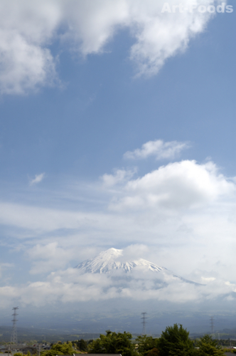 f:id:artfoods:20100516104038j:image