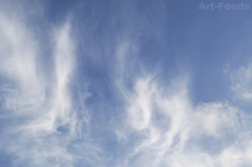 f:id:artfoods:20100517101135j:image f:id:artfoods:20100517101135j:image
