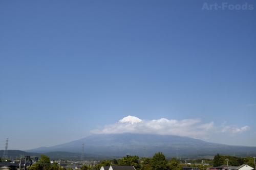 f:id:artfoods:20100517174532j:image