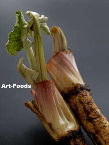 f:id:artfoods:20100517205205j:image:w240:left f:id:artfoods:20100517205205j:image:w240:left