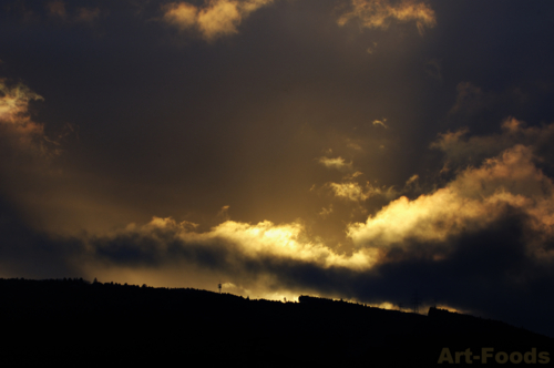 f:id:artfoods:20100520114853j:image