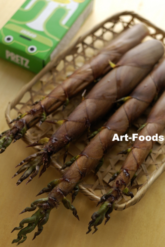 f:id:artfoods:20100520114855j:image:w240:right