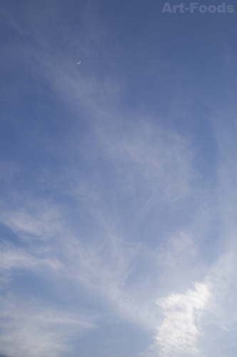 f:id:artfoods:20100523101416j:image