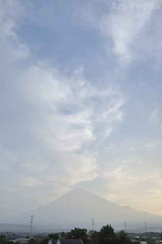 f:id:artfoods:20100607061805j:image