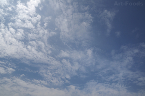 f:id:artfoods:20100608064247j:image f:id:artfoods:20100608064247j:image