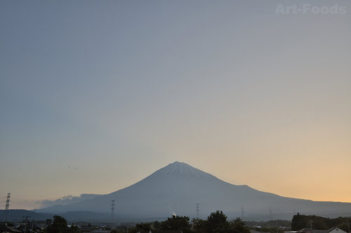 f:id:artfoods:20100610064103j:image