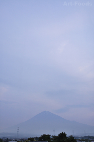f:id:artfoods:20100618052002j:image:w240:left