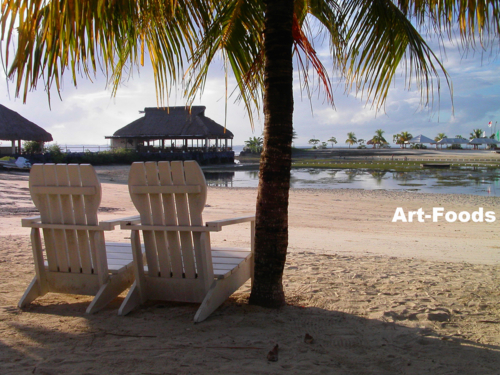 f:id:artfoods:20100622144018j:image