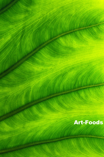 f:id:artfoods:20100901064332j:image f:id:artfoods:20100901064332j:image