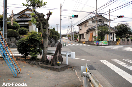 f:id:artfoods:20100901152232j:image:w320:right